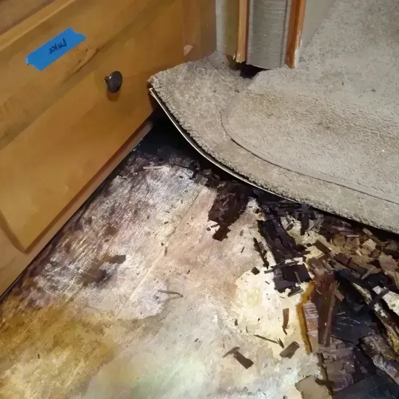 Wood Floor Water Damage in Laguna Park, TX